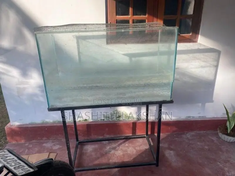 Fish Tank