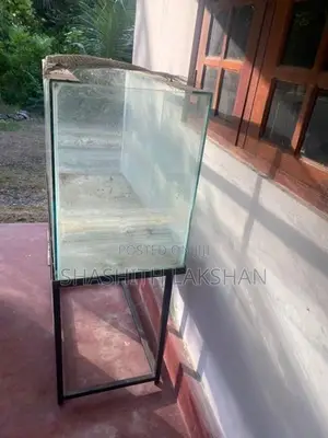 Fish Tank