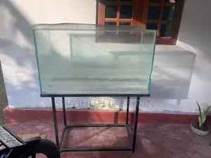 Fish Tank