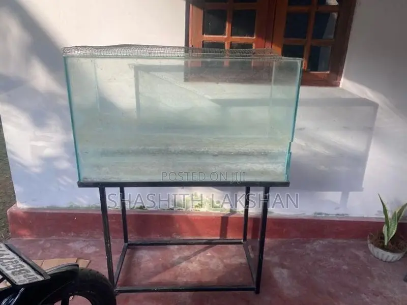 Fish Tank