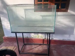 Fish Tank