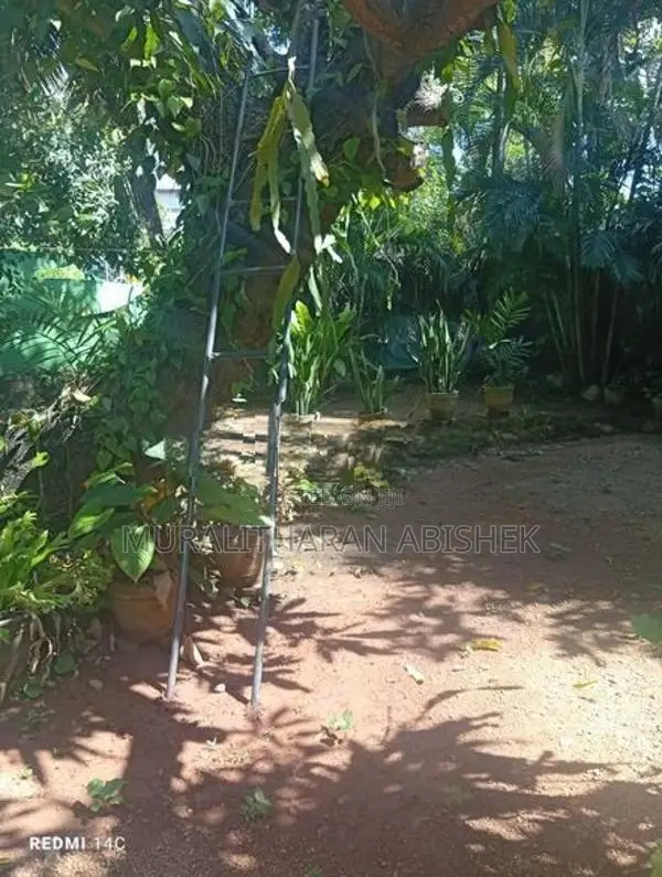 12 Perch Land in Trincomalee