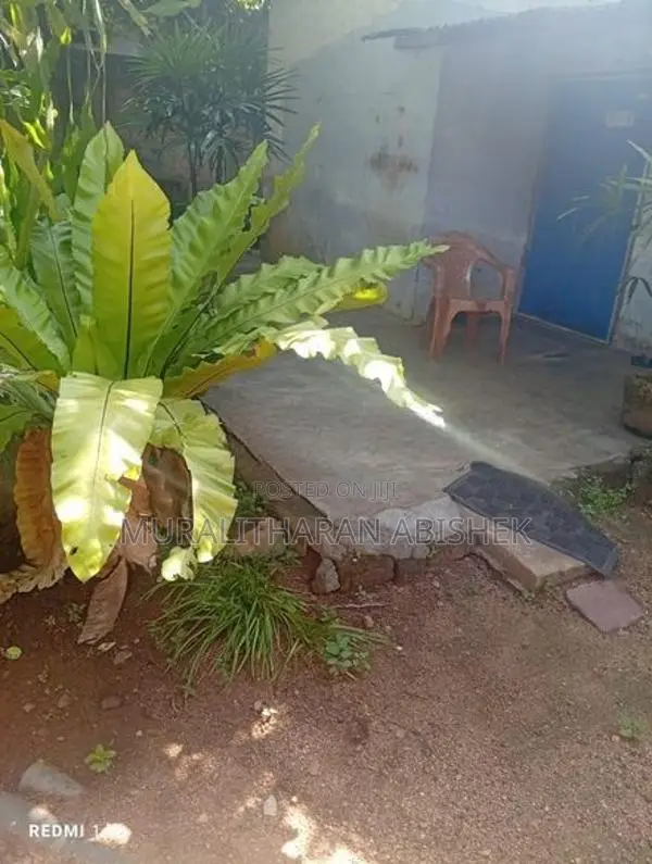 12 Perch Land in Trincomalee