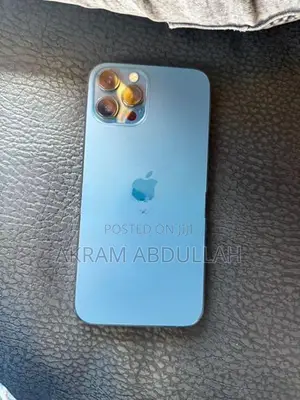 Apple iPhone 12 Pro Max (Used)