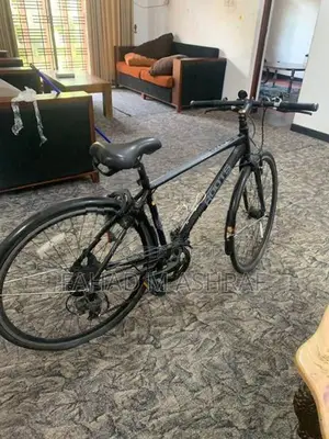 Roots Bicycle (japan)