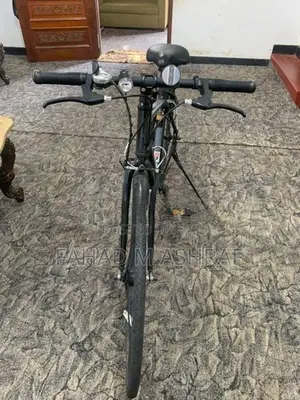 Roots Bicycle (japan)