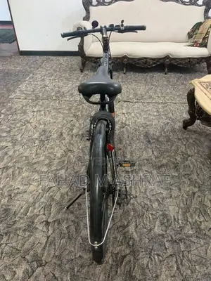 Roots Bicycle (japan)