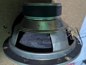 Panasonic 6 Inch Subwoofer