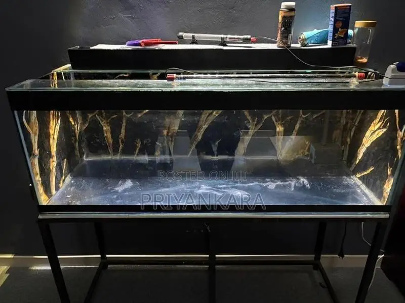 4ft Fish Tank with Full Set