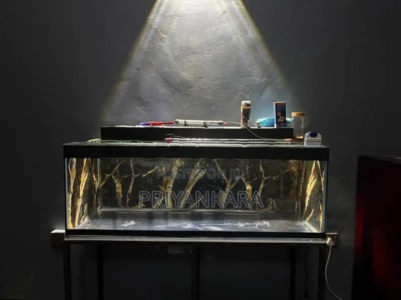 4ft Fish Tank with Full Set