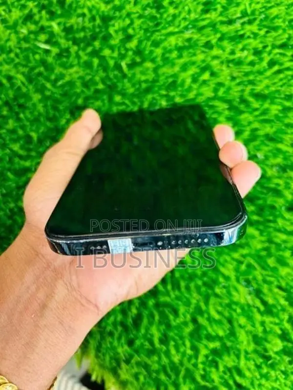 Apple iPhone 12 Pro Max (Used)