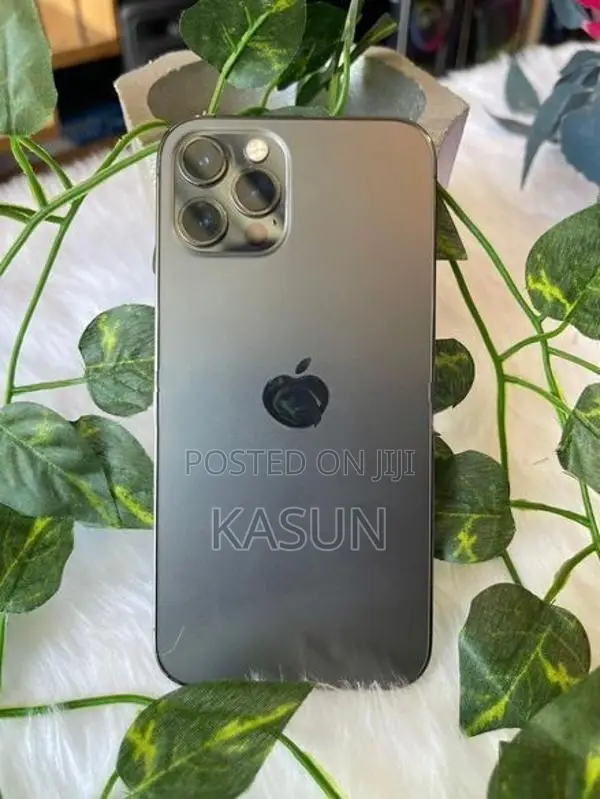 Apple iPhone 12 Pro 256GB (Used)
