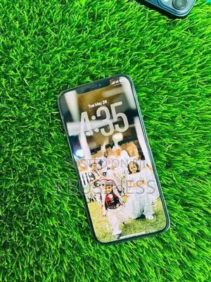 Apple iPhone 12 Pro Max (Used)