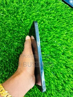 Apple iPhone 12 Pro Max (Used)