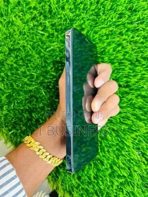 Apple iPhone 12 Pro Max (Used)