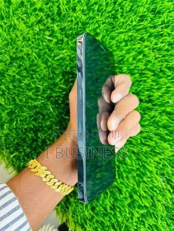 Apple iPhone 12 Pro Max (Used)