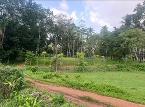Land For Sale - Near Colombo Kandy Main Road ( Danowita )