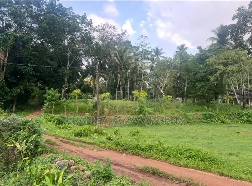 Land For Sale - Near Colombo Kandy Main Road ( Danowita )
