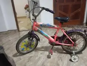 පුස් සයිකල්