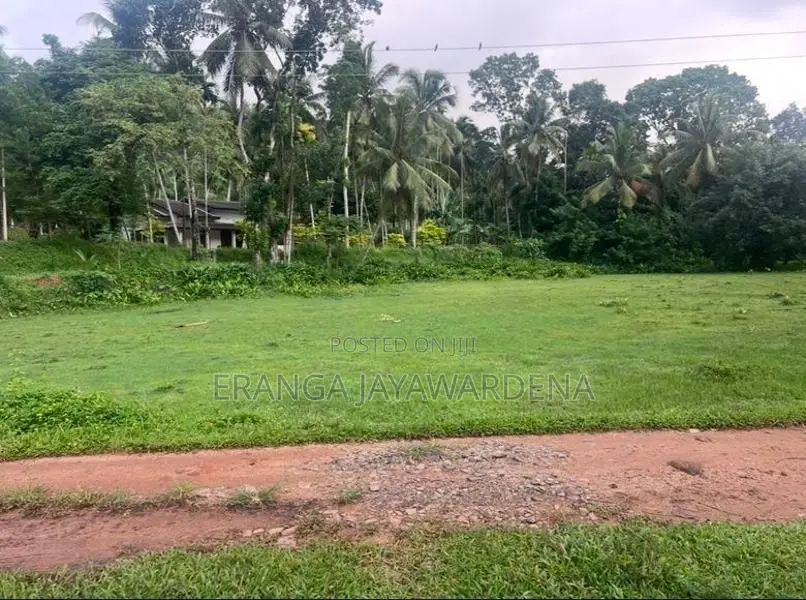 Land For Sale - Near Colombo Kandy Main Road ( Danowita )