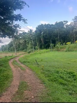 Land For Sale - Near Colombo Kandy Main Road ( Danowita )