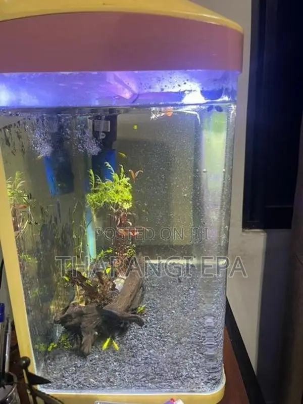 Fish Tank