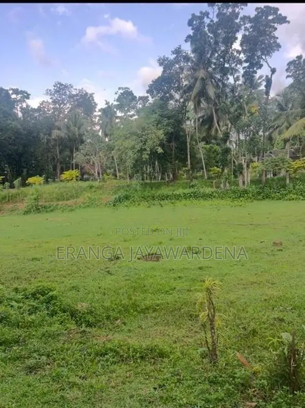 Land For Sale - Near Colombo Kandy Main Road ( Danowita )