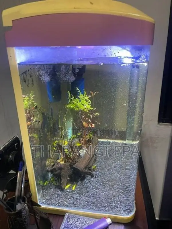Fish Tank