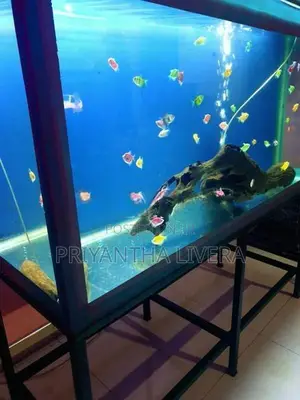 Fish Tank with Iron Stand