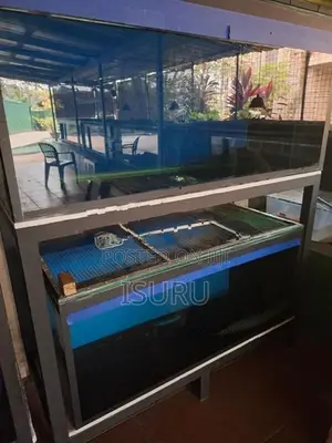 Fish Tanks with Stands