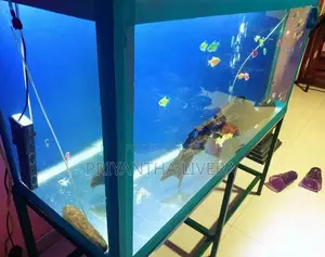 Fish Tank with Iron Stand