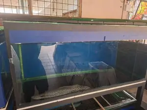 Fish Tanks with Stands
