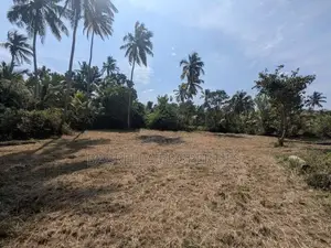 45 P Land for Sale - Wariyapola Netiya Rd