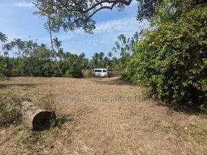 45 P Land for Sale - Wariyapola Netiya Rd