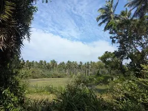 45 P Land for Sale - Wariyapola Netiya Rd