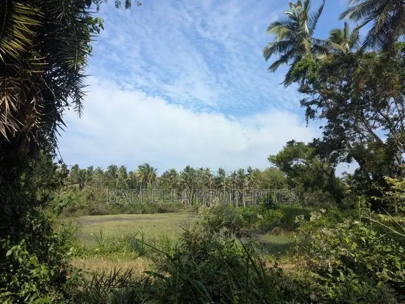 45 P Land for Sale - Wariyapola Netiya Rd
