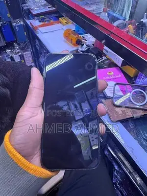 Apple iPhone 13 Pro Max (Used)