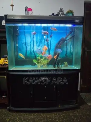 4 Feet Fish Tank Full Set