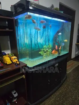 4 Feet Fish Tank Full Set