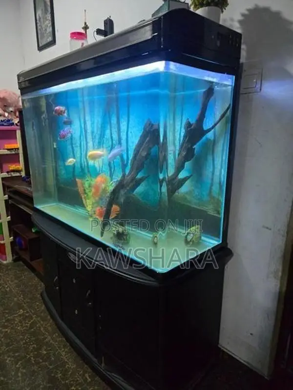 4 Feet Fish Tank Full Set