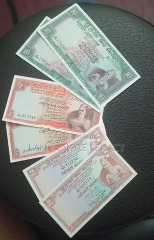 Old Notes