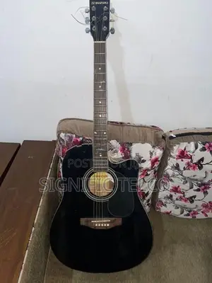 Suzuki Acoustic Guitar