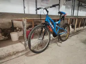 Kenton Bicycle
