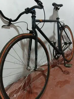 Two Japanese Bicycle