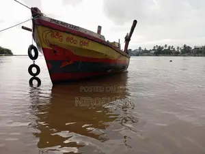Yanmar Boat
