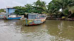 Yanmar Boat