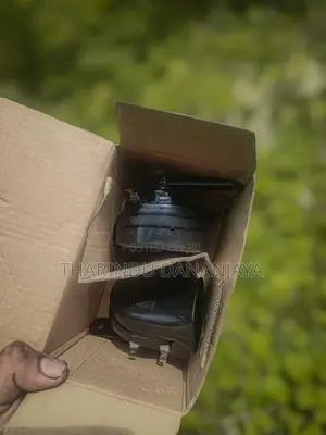 Auto Horn
