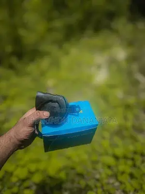 Auto Horn