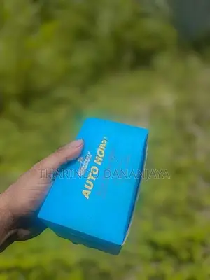 Auto Horn