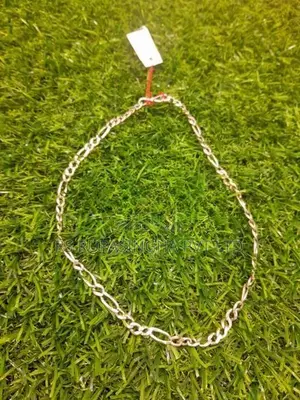 Silver Chain